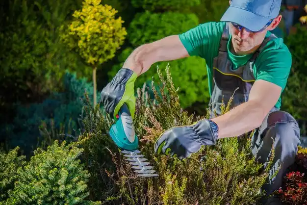 landscaping services Sun